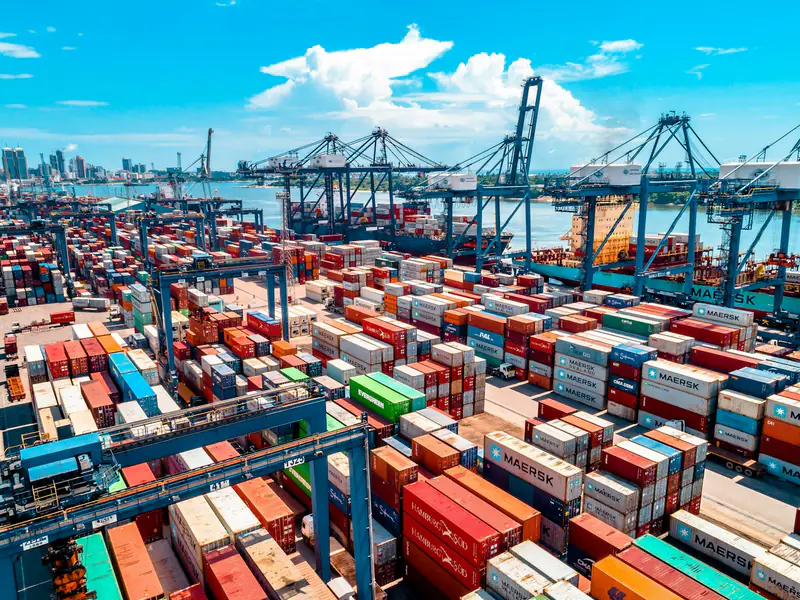 Container terminal with gantry cranes and stacked boxes